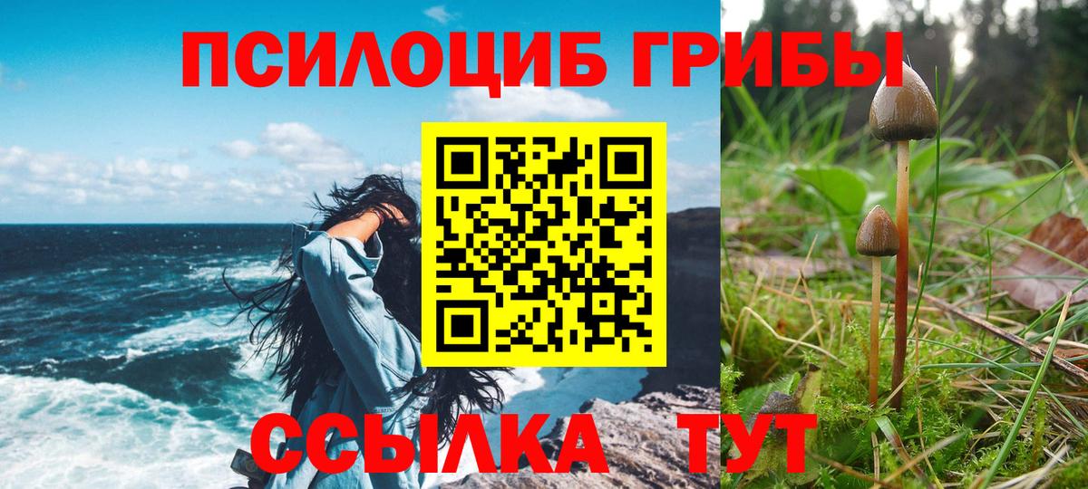 Псилоцибиновые грибы мухоморы Борзя